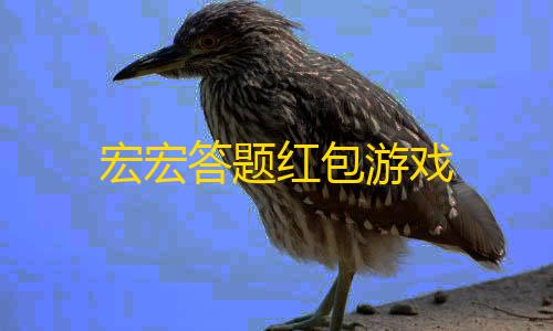 和平精英透视怎么开宏宏答题红包游戏